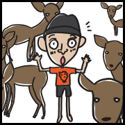 ホンシュウジカ