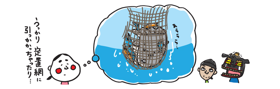 うっかり定置網